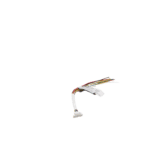 101512522-AD-2-l
