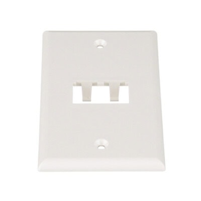 Placa de Pared Vertical Clásica, Salida Para 2 Puertos Mini-Com, Color Blanco Mate
