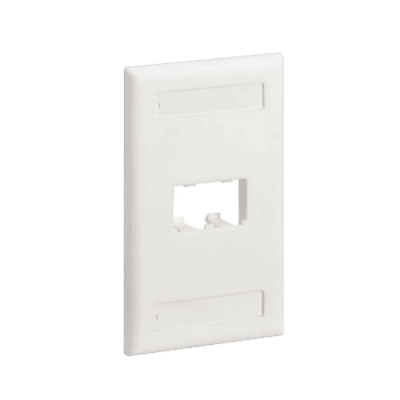 Placa de Pared Vertical Clásica, Salida Para 2 Puertos Mini-Com, Con Espacios Para Etiquetas, Color Blanco Mate