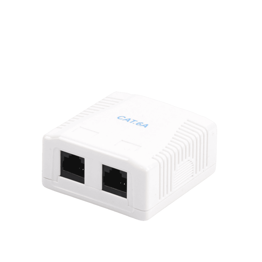 LPWP39C6A-AD-1-l Caja de Pared con 2 Puertos, Incluye 2 Jacks UTP Cat6A LP-WP-39-C6A 2