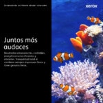 CARXRX6090_10_full