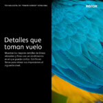 CARXRX6090_2_full