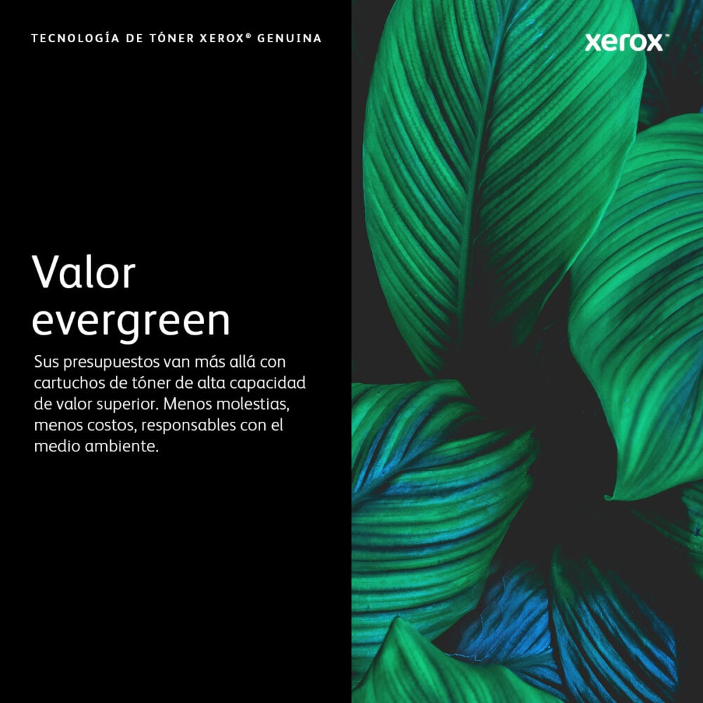 XEROX 106R03748 TONER CYAN ESTANDAR 106R03748 6