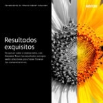 CARXRX6090_6_full