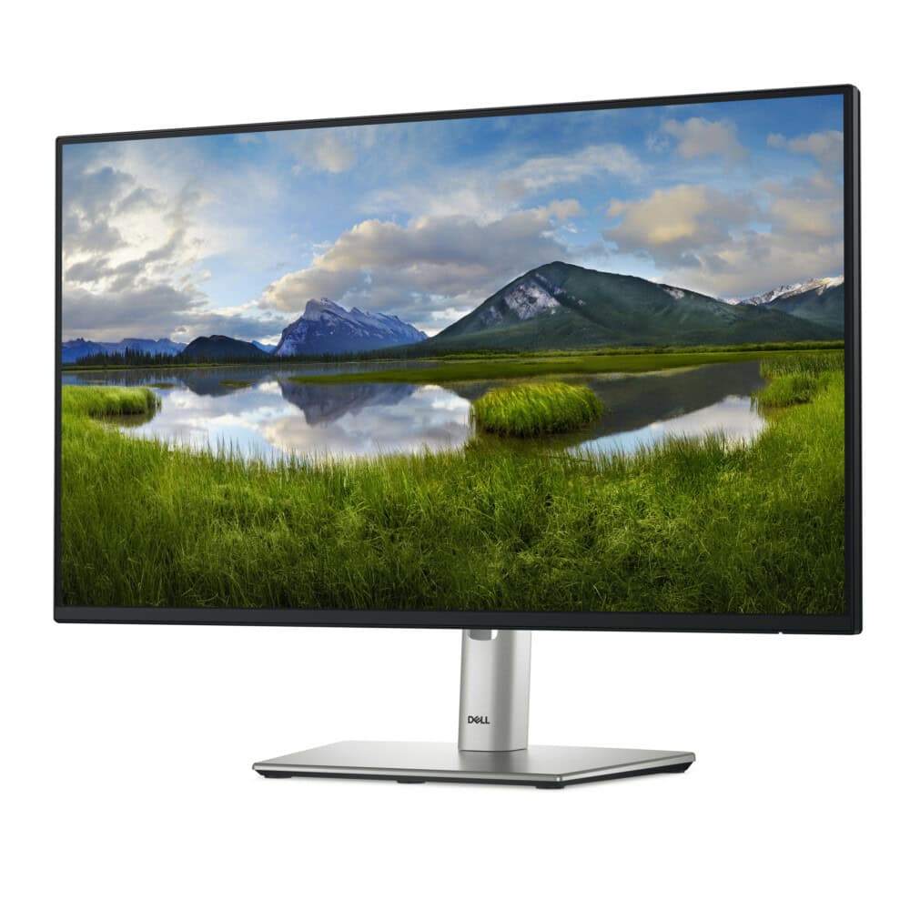 Monitor DELL (P2425H) de 23.8 pulgadas, LED IPS, 1920 x 1080 Pixeles, Full HD, 100Hz, HDMI/DisplayPort, Negro, 210-BMGH 210-BMGH 2