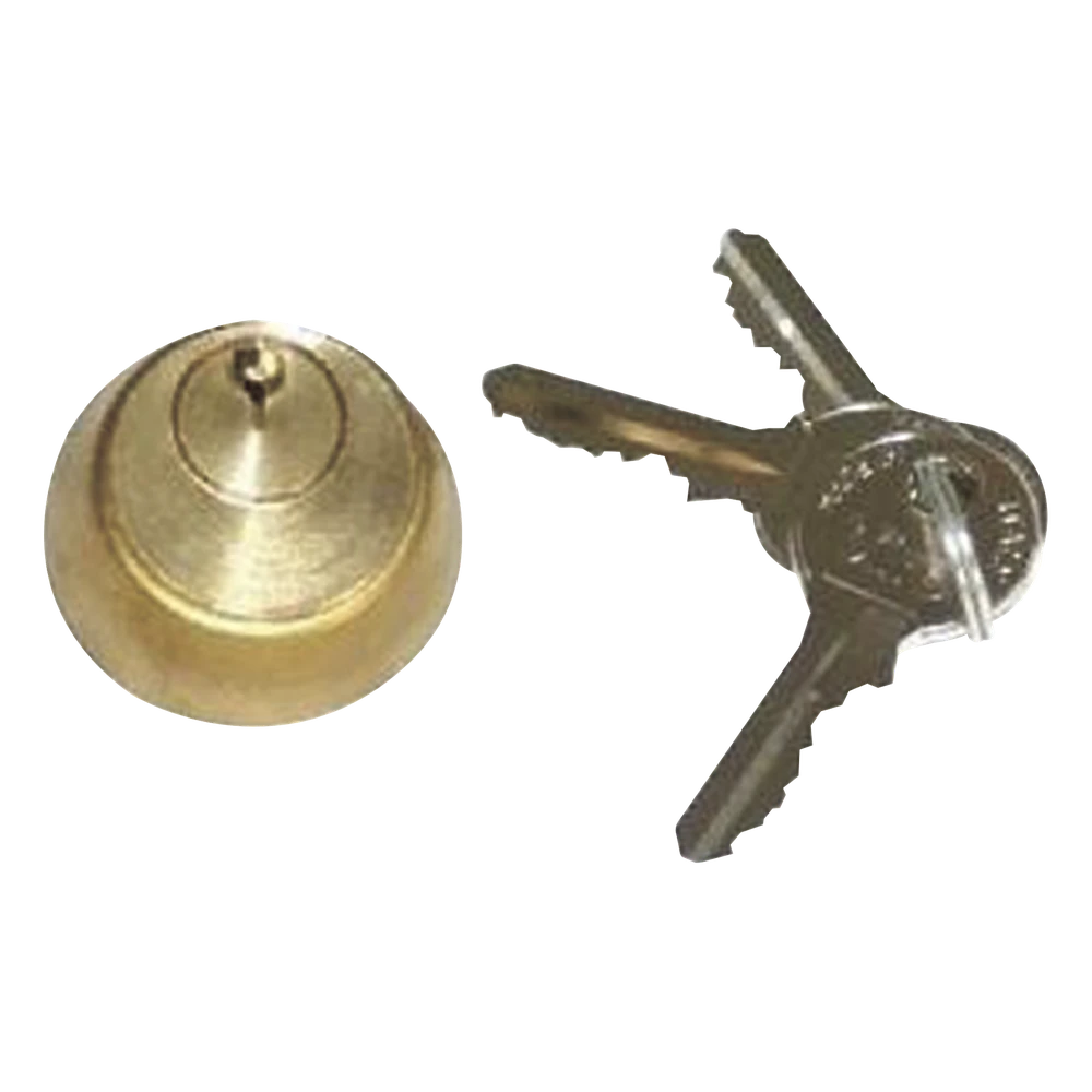 portada_0S1000-264 Cilindro interno para electrocerradura / Acero inoxidable / IP67 / 110V / 60W / 800 kg / 2-4 m (6.6-13.1 ft) 712651001 1
