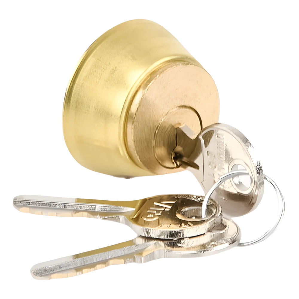 sec_5_4S1000-20 Cilindro interno para electrocerradura / Acero inoxidable / IP67 / 110V / 60W / 800 kg / 2-4 m (6.6-13.1 ft) 712651001 5