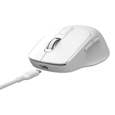 Ofertas del día Ofertas del día 7