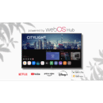 SmartTV para Exteriores / 55" 4K UHD / 500 nits / Sol Parcial / webOS / IP54 / -30°C a 50°C / Soporte de Pared Inclinado adicional_1S1000-12